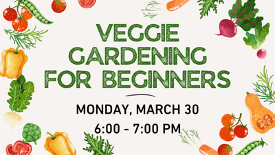 Veggie Gardening for beginners